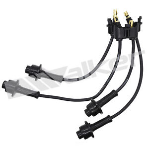 Ignition Wire Set  Walker Products  924-1089