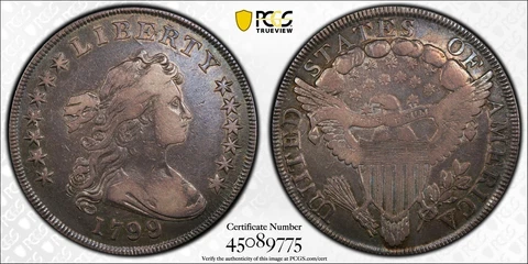 1799/8 B-3 BB-141 15 Stars Draped Bust Dollar $1 PCGS VF Detail Cover