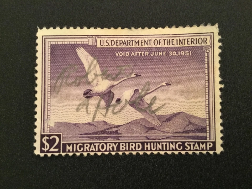 ICOLLECTZONE US RW17  Fine used  - Image 1 of 1