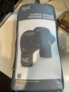 Guante de Entrenamiento de Boxeo Everlast 5312 12oz - Bolsa Pesada Entrenamiento y Guante Trabajo -NUEVO - Imagen 1 de 6