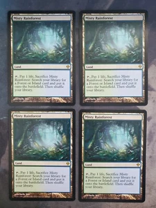 Misty Rainforest (ZEN) - Picture 1 of 1