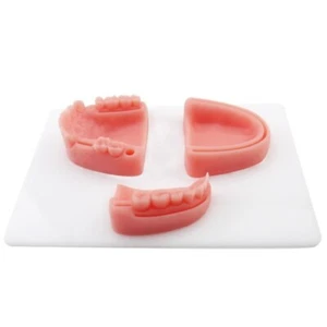 Modulo allenamento sutura orale/gengivale dentale silicone parodontite sutura modello Best - Foto 1 di 8
