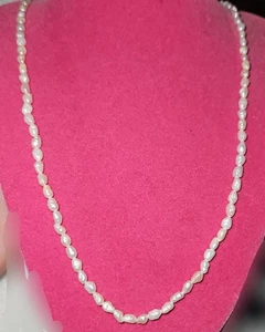 Freshwater Pearl Necklace - Picture 1 of 3