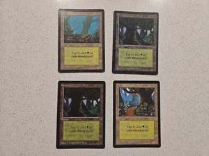 MTG 4x Beta Forest - Picture 1 of 1