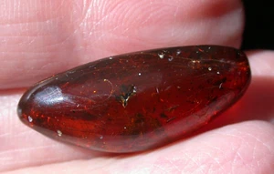 Schöne blühende Cativo Blume in Kirschrot Dominikanischer Bernstein Fossil Edelstein - Bild 1 von 9