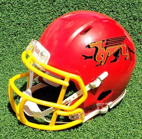 UNIVERSITY OF GUELPH GRYPHONS FOOTBALL MINI HELMET OTHER VERSIONS Cover