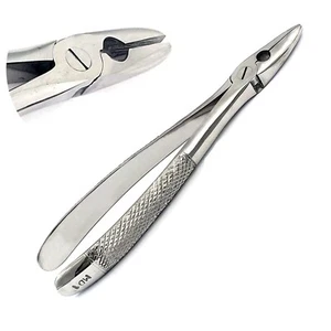 NEW GERMAN EXTRACTING EXTRACTION FORCEPS # MD1 MEAD FORCEPS DENTAL INSTRUMENTS - Picture 1 of 4