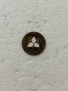 1973 Canadian Seniors Ladies Curling Championship Ottawa Ontario Pin - Picture 1 of 2