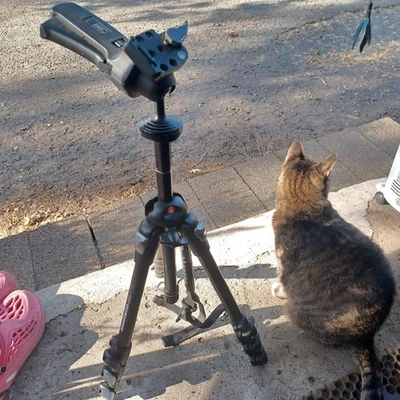 Trípode Manfrotto 190MF Magfiber carbono con joystick cabeza magnesio, buen estado Foto 1 de 4