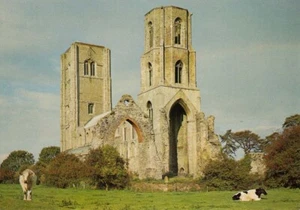 (ak15) Abbey Church of Saint Mary & Saint Thomas at Wymondham - Norfolk Postcard - Picture 1 of 2