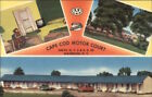 Waterloo NY Cape Cod Motor Court Colorful Linen Postcard Routes 5 & 20