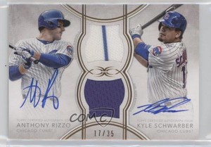 2018 Definitive Collection Dual Relic /35 Anthony Rizzo Kyle Schwarber Auto