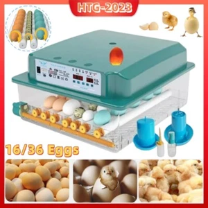 Incubatrice digitale 16/36 uova rotazione automatica controllo umidità pollo anatra US - Foto 1 di 18