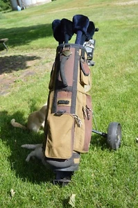 Women's Golf Clubs Leftie Agree ii PRO DESIGN Titanium Matrix Golf Set - Picture 1 of 24