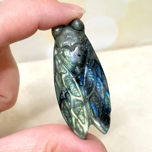 Labradorite Cicada Bug Crystal Carving - Natural Gemstone Carved Cabochon 1.8" - Picture 1 of 4