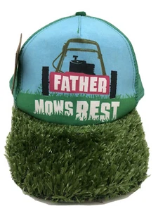 Father Mows Best Hat, Faux Grass Snapback Hat, Lawnmower Hallmark - Picture 1 of 7