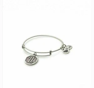Alex and Ani Adjustable Bangle Bracelet Charm Positivity Heart UN Recycle Energy - Picture 1 of 2
