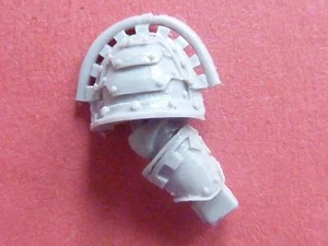 Forgeworld Herejía Manos de Hierro MEDUSAN INMORTALS BRAZO DERECHO (C) 40K - Imagen 1 de 1