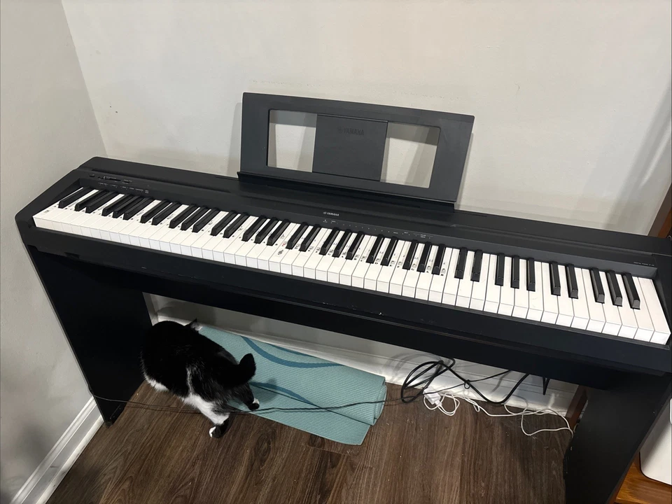 Yamaha P-45 Digital Piano 88-Key Weighted Action Black - Image 1 of 4