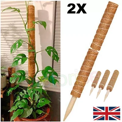 2PCS Moss Pole for Climbing Plants/Coir Totem Plant Monstera Support Stick Pole