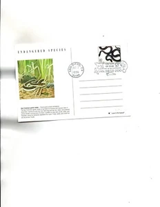 US MAXIM FDC Postal Card Sc#UX273 Snakes - Picture 1 of 2