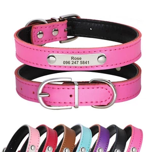 Cuello personalizado de cuero perro gato mascota cachorro nombre identificación grabado acolchado - Imagen 1 de 19