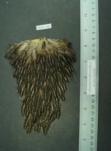 Natural Brown Badger Imported Hen Back Soft Hackle Lot-114 - Picture 1 of 4