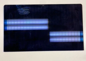 Original Apple LCD für iMac 27" A1419 2017 5K - LG LM270QQ1 SD C1 - Bild 1 von 3