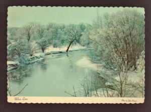 NATURE White Lace Snow in trees in Winter CONTINENTAL postcard - Picture 1 of 2