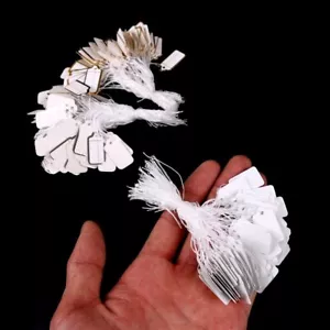 500pcs Blank Jewelry Price Tags Write On Label with String Retail Strung Label - Picture 1 of 14