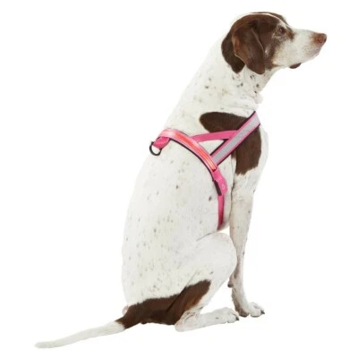 Arnés Top Paw LED Iluminado y Reflectante con Cargador USB Rosa Foto 1 de 2