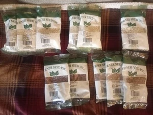 Blue Lake Bush Bean Kentucky Wonder Mtn. White 1/2 Pound Seeds Packed For 2022 - Picture 1 of 6