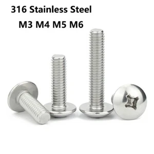 Tornillos de cabeza de braguero Phillips Pan de acero inoxidable M3/M4/M5/M6 316 (A4) - Imagen 1 de 5