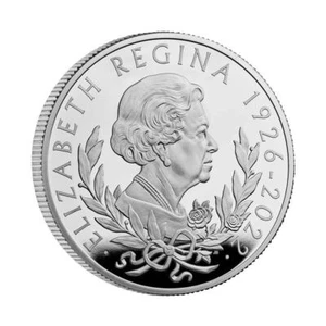 Great Britain 2022 £100 1-oz Platinum Her Majesty Queen Elizabeth II Memorial... - Picture 1 of 3