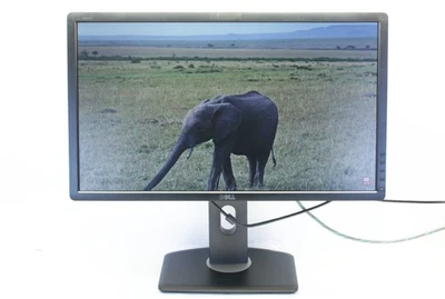 Dell P2412Hb 24" LED Computer Monitor Full HD 1080p DVI VGA w/ Stand and Powe... - Image 1 of 4