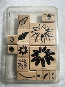 STAMPIN' UP DEFINITIV DEKORATIVE GÄNSEBLÜMCHEN HOLZMONTIERUNG STEMPEL SET 13 NICHT MEHR ERHÄLTLICH - Bild 1 von 3