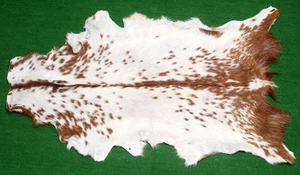 New Goat hide Rug Hair on Area rug Size 36"x24" Animal Leather Goat Skin G-407 - Picture 1 of 3