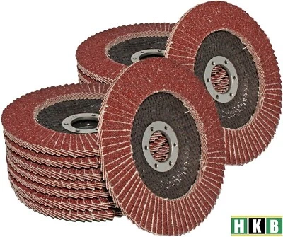 HKB® 16 Stück Schruppscheiben / Fächerscheiben Ø 125 x 22,23mm Korn 40/60/80/120