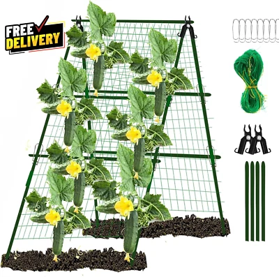 Enrejado de pepino enrejado de jardín arco enrejado alto de metal para escalada... Foto 1 de 4