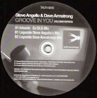 Steve Angello & Dave Armstrong Groove In You (Exclusive Repress) Truth Recordin