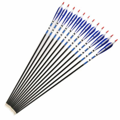 12Pcs 31''Archery Blue Turkey Feathers Carbon Arrows Spine 500 Bow Hunting Shoot - Image 1 of 4