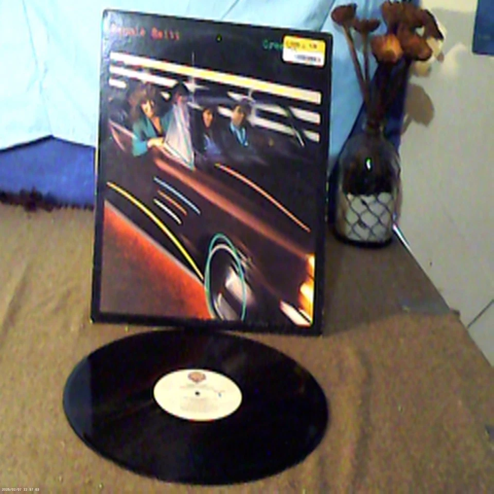 Bonnie Raitt, LP, Green Light, released 1982, in VG condition, stereo. Foto 1 de 1
