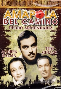 Amapola Del Camino (DVD, 2008) - Imagen 1 de 1