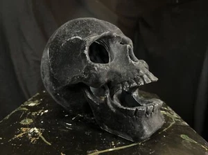 Bersaglio Halloween 2018 resina velluto nero teschio umano esclusivo decorazione testa casa - Foto 1 di 13