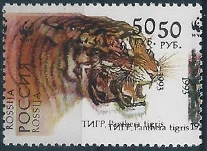 12166 Russia Rossija Fauna Animal Cat-of-Prey Tiger ERROR Double Print - Picture 1 of 1