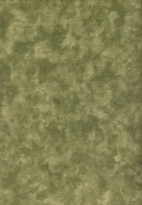 Marbles Sage Green by Moda Patrick Lose Tonal Cotton Fabric 1/2 Yard - Image 1 of 2