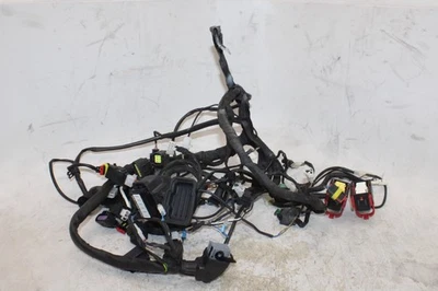 09-16 APRILIA DORSODURO 750 OEM MOTOR PRINCIPAL ARNÉS DE CABLEADO MOTOR TELAR DE ALAMBRE Foto 1 de 4