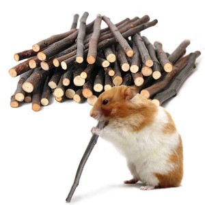 50g Apple Wood Chew Sticks Twigs Rabbit Hamster Guinea Pig Toy. Parrots Rat M1U8