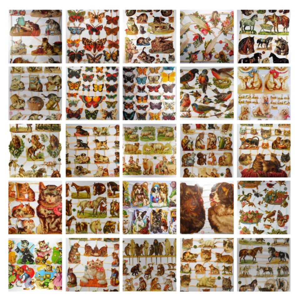 ERNST FREIHOFF PAPIERWARENVERTRIEBSGESELLSCHAFT MBH Auswahl Freihoff Glanzbilder Afrika Tiere Pferd Katze Hund Posiebild Deko Set 9