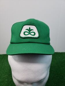 Pioneer Seed Snapback Trucker Cap Hat TODDLER YOUTH DOLL Size SMALL Green Patch 